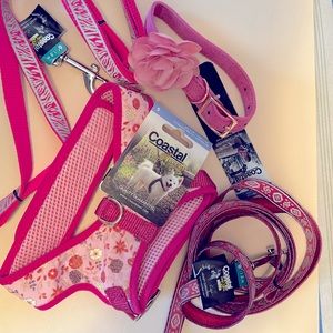 Brand, new, coastal, dog, color, and leash assortment. Size small